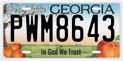GA license plate PWM8643