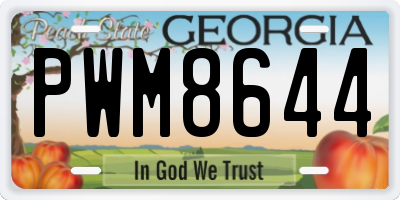 GA license plate PWM8644