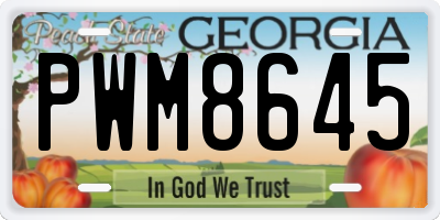 GA license plate PWM8645