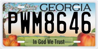 GA license plate PWM8646