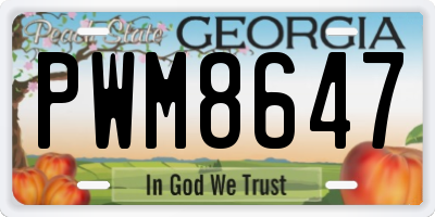 GA license plate PWM8647