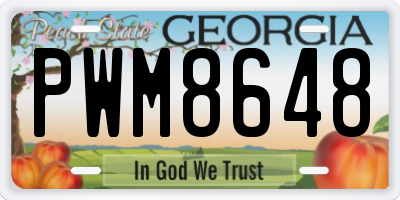 GA license plate PWM8648