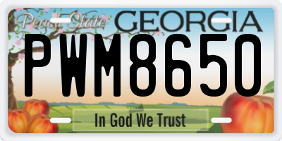 GA license plate PWM8650