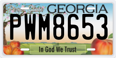 GA license plate PWM8653