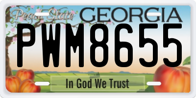 GA license plate PWM8655