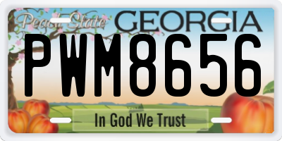 GA license plate PWM8656