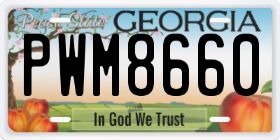 GA license plate PWM8660