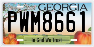 GA license plate PWM8661