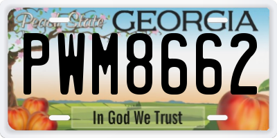 GA license plate PWM8662