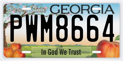GA license plate PWM8664