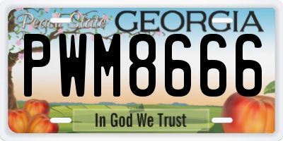 GA license plate PWM8666