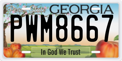 GA license plate PWM8667
