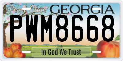 GA license plate PWM8668