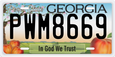 GA license plate PWM8669