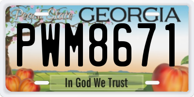 GA license plate PWM8671