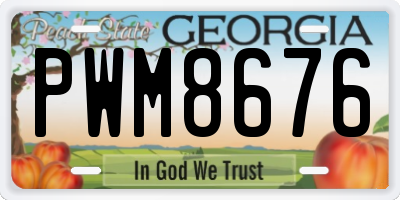 GA license plate PWM8676