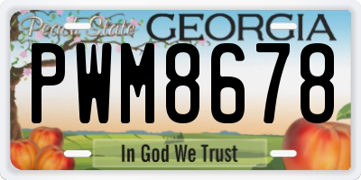 GA license plate PWM8678