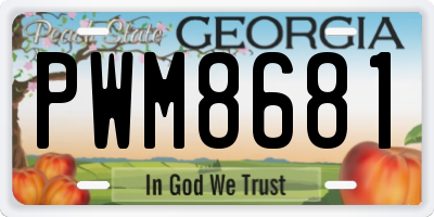 GA license plate PWM8681