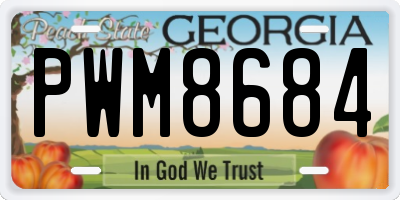 GA license plate PWM8684