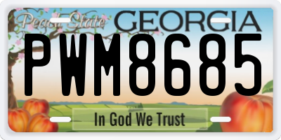 GA license plate PWM8685