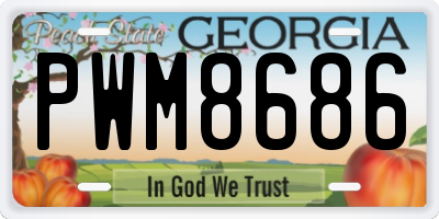 GA license plate PWM8686