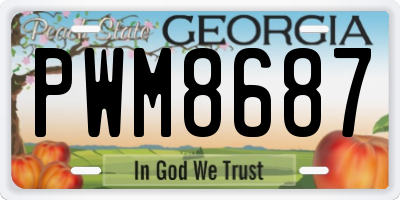GA license plate PWM8687