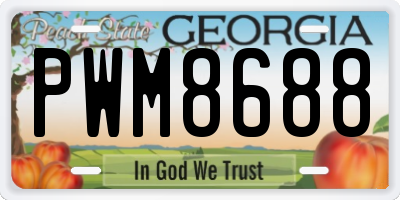 GA license plate PWM8688