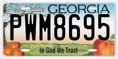 GA license plate PWM8695