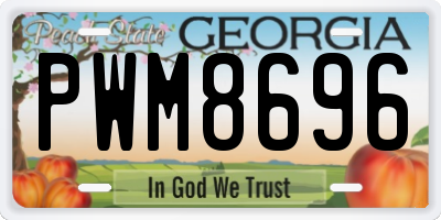 GA license plate PWM8696