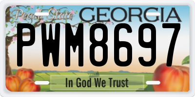 GA license plate PWM8697