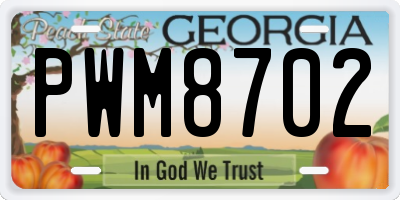 GA license plate PWM8702