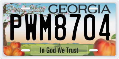 GA license plate PWM8704