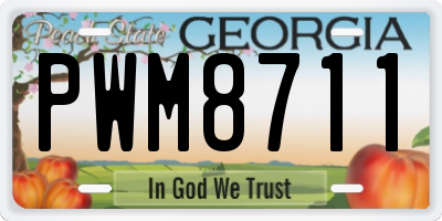 GA license plate PWM8711