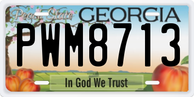 GA license plate PWM8713