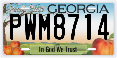 GA license plate PWM8714