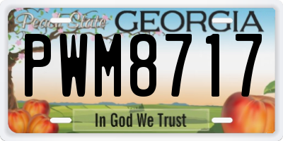 GA license plate PWM8717