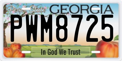 GA license plate PWM8725