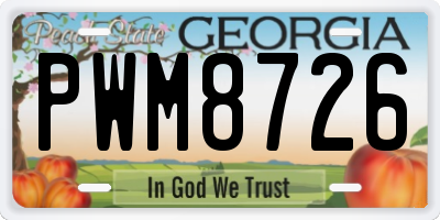 GA license plate PWM8726