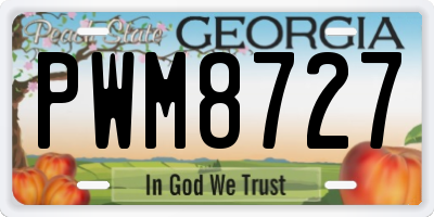 GA license plate PWM8727