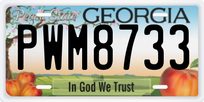 GA license plate PWM8733