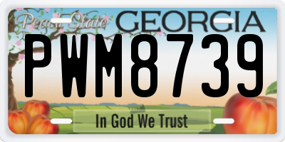 GA license plate PWM8739