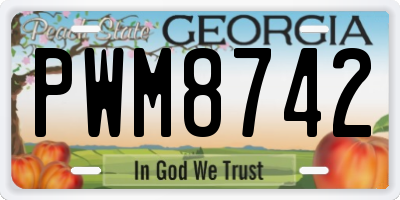 GA license plate PWM8742