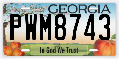 GA license plate PWM8743