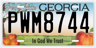 GA license plate PWM8744
