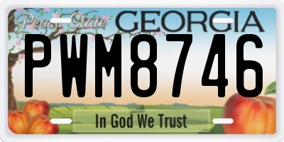 GA license plate PWM8746
