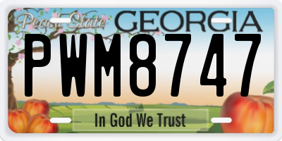 GA license plate PWM8747