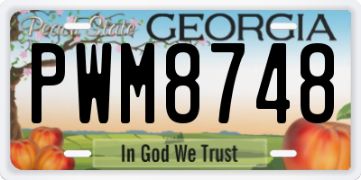 GA license plate PWM8748