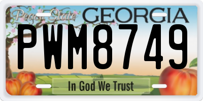GA license plate PWM8749