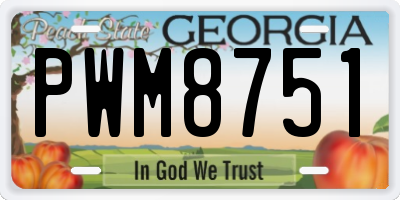 GA license plate PWM8751
