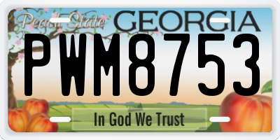 GA license plate PWM8753